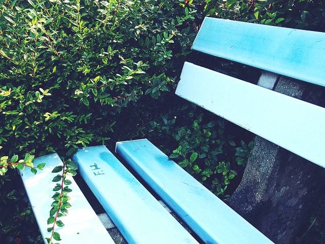 最终导致了 最终导致了