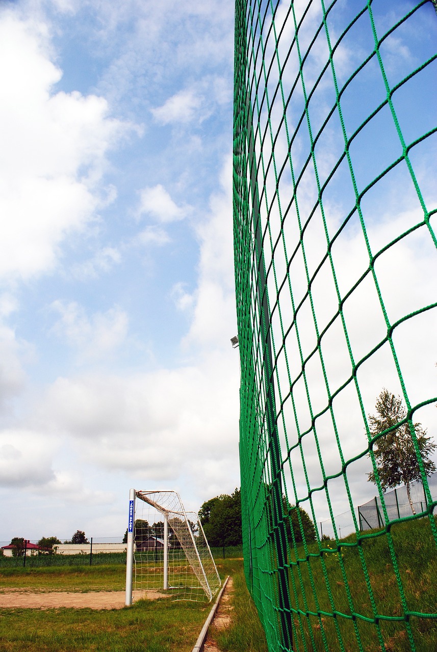 进球数相对 进球数相对