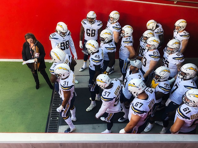 示要在这里 示要在这里