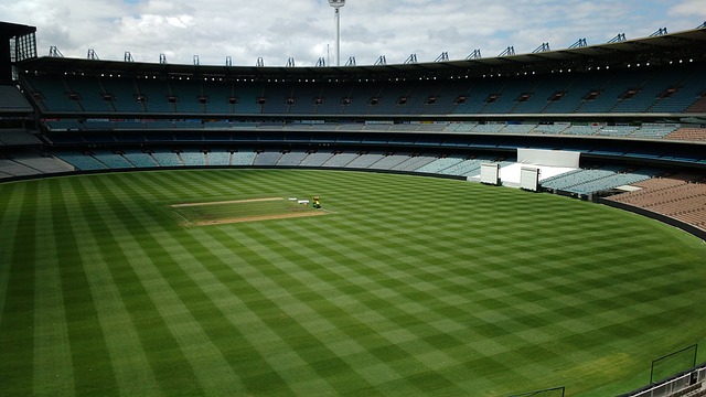 带来更多精 带来更多精